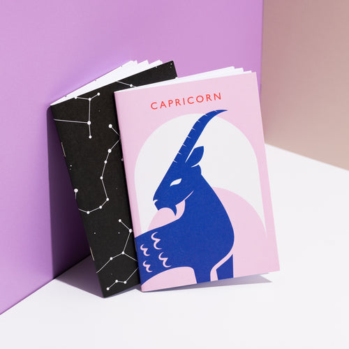 Capricorn Notebook Set | Zodiac | Constellation
